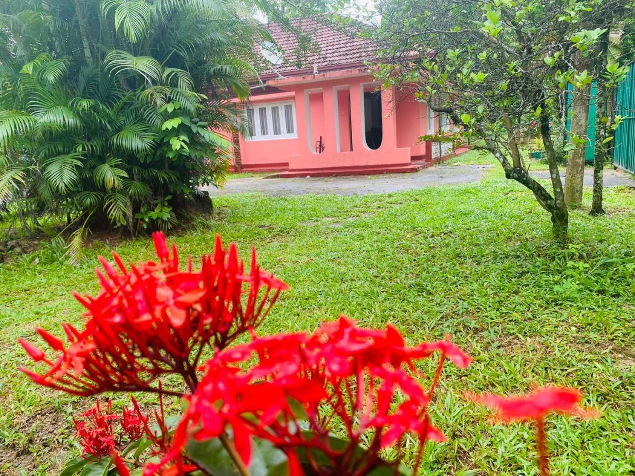AMBALAMA HOSTEL