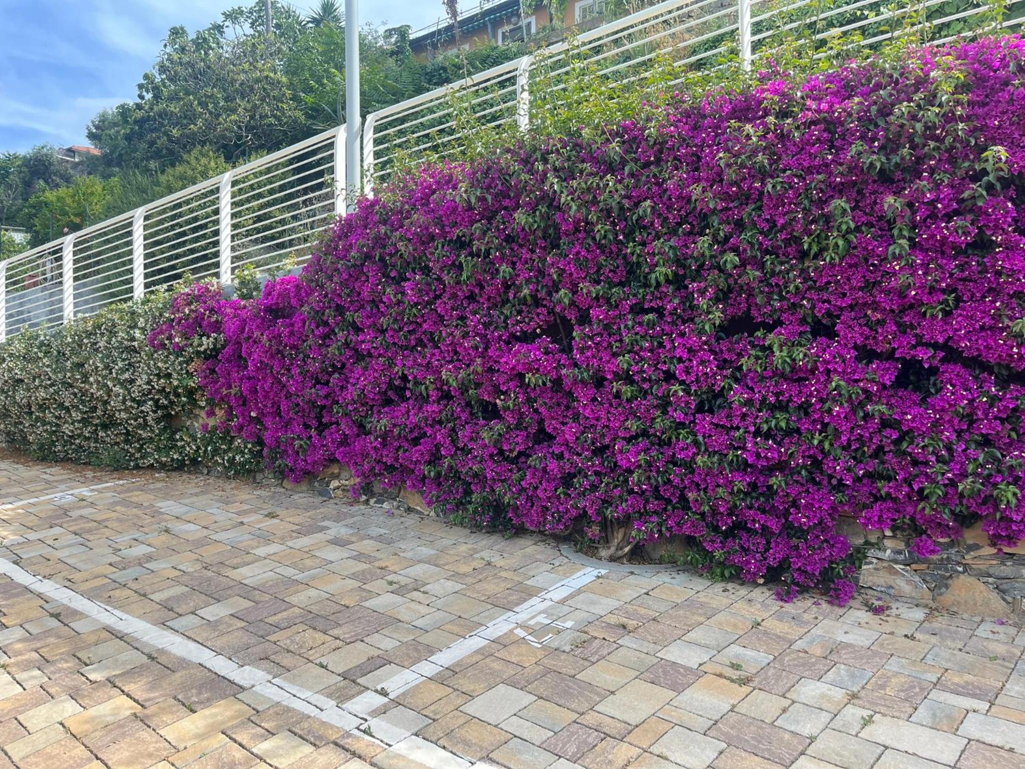 A House with a view en Alassio