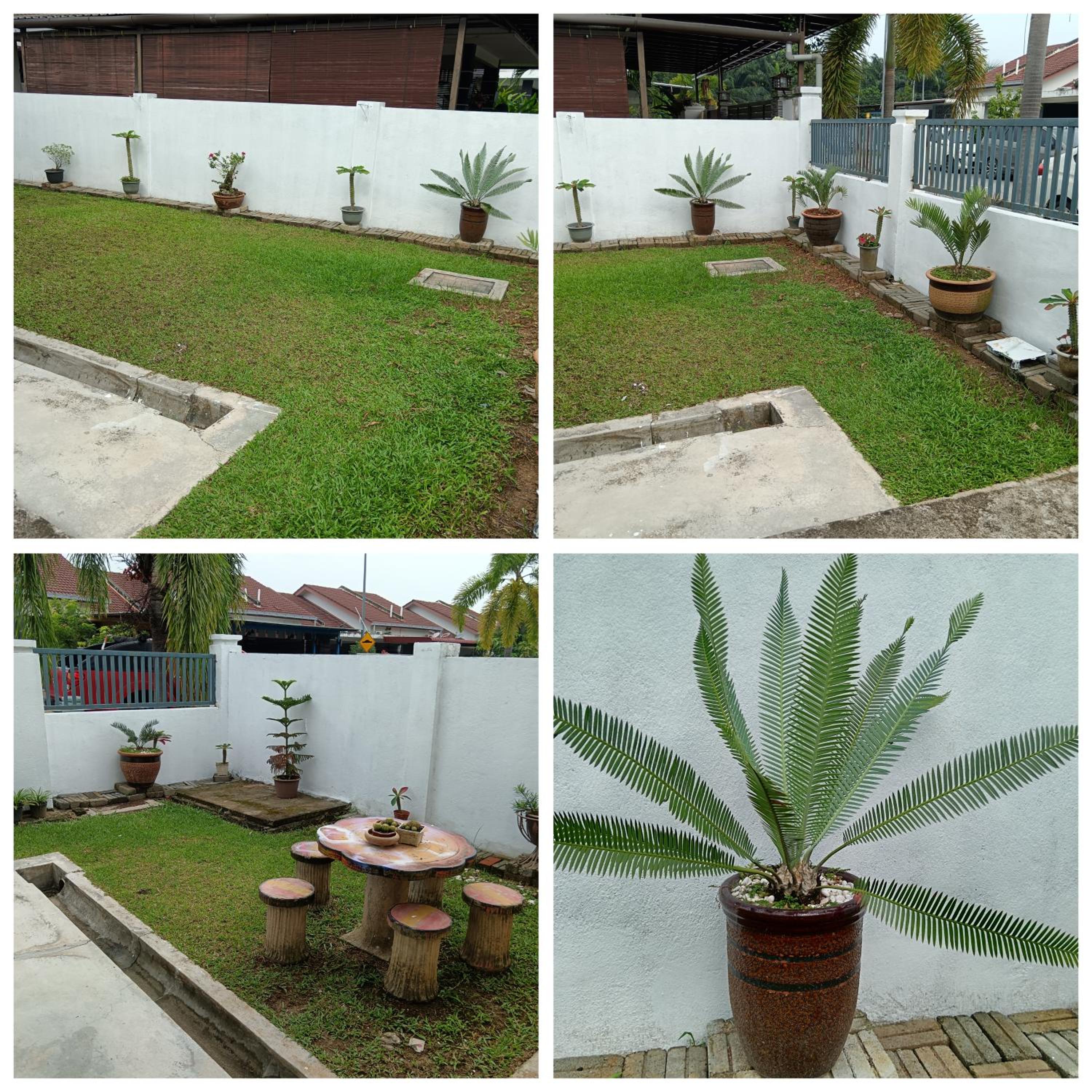 Mas Homestay photo 7
