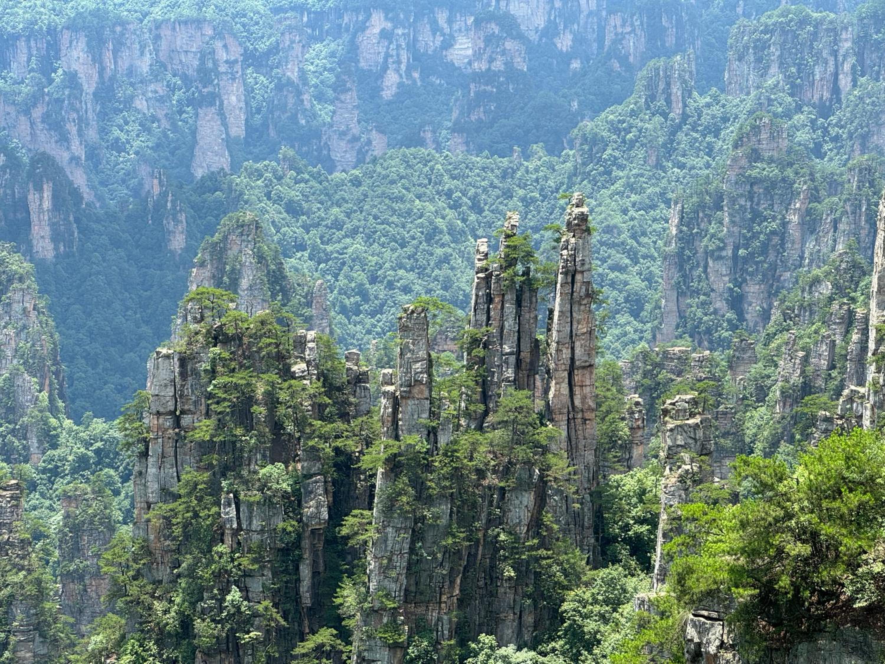 Zhangjiajie National Park Nvue Resorts