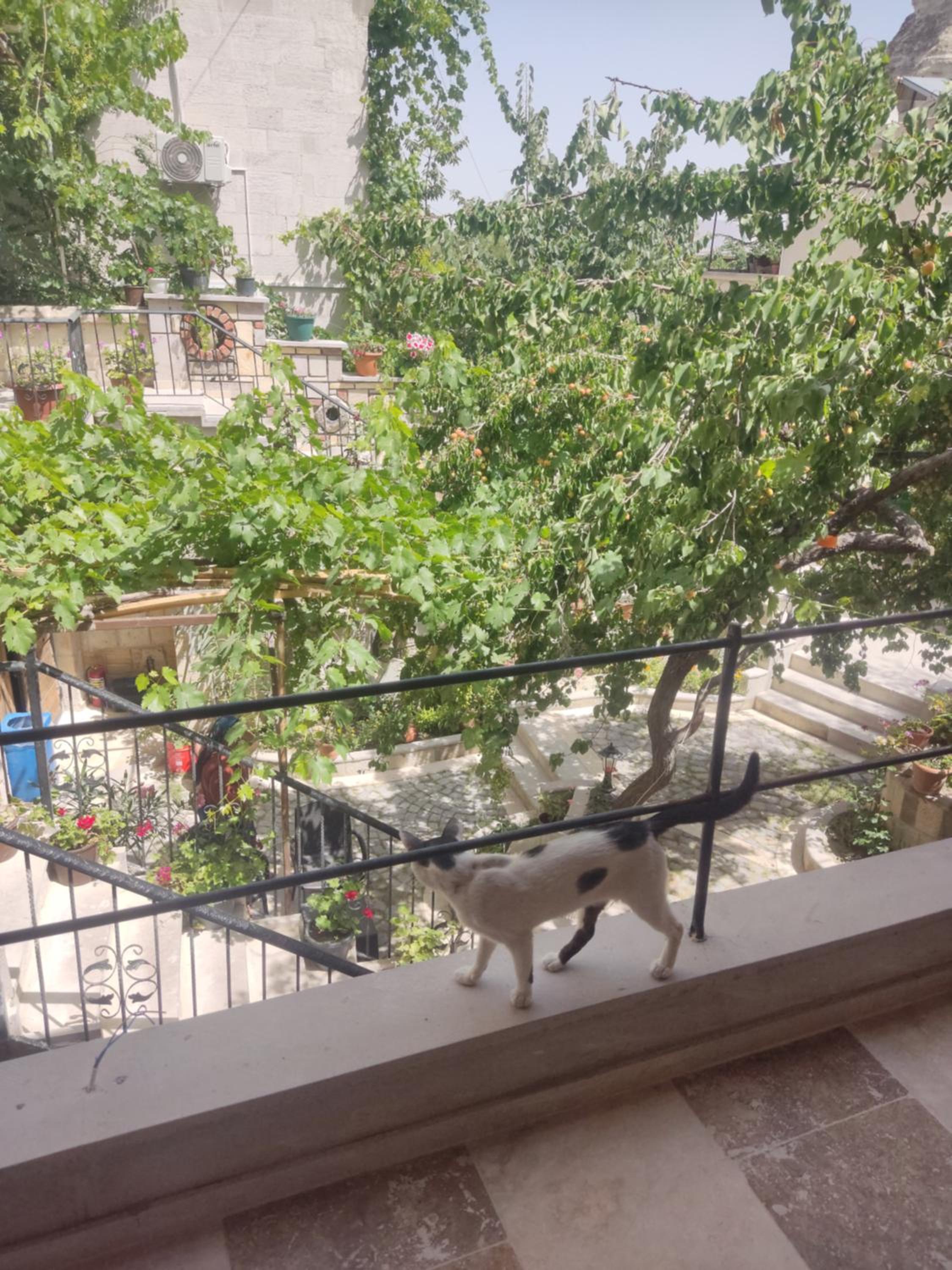 Luwian Stone House - Image 164