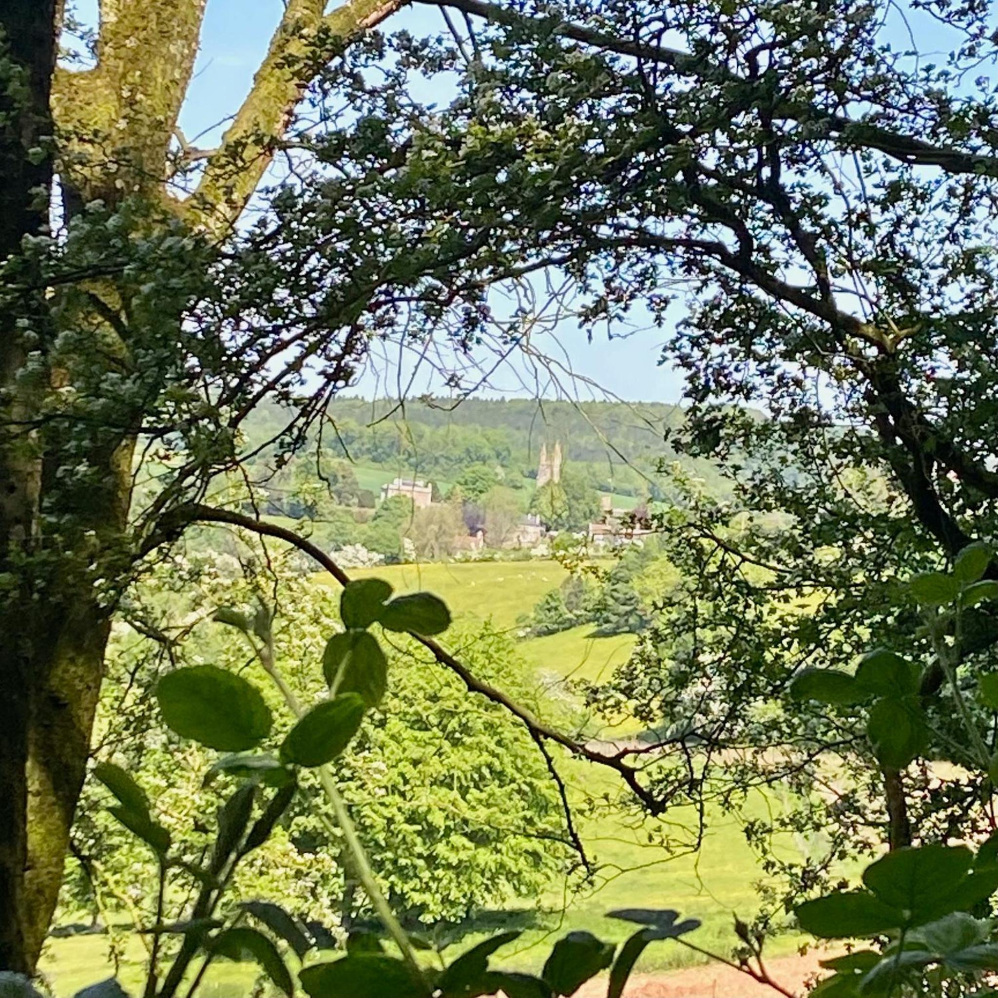 Palm House - Luxury Wye Valley Country House 2 Bed Apartment - Dog Friendly view 3