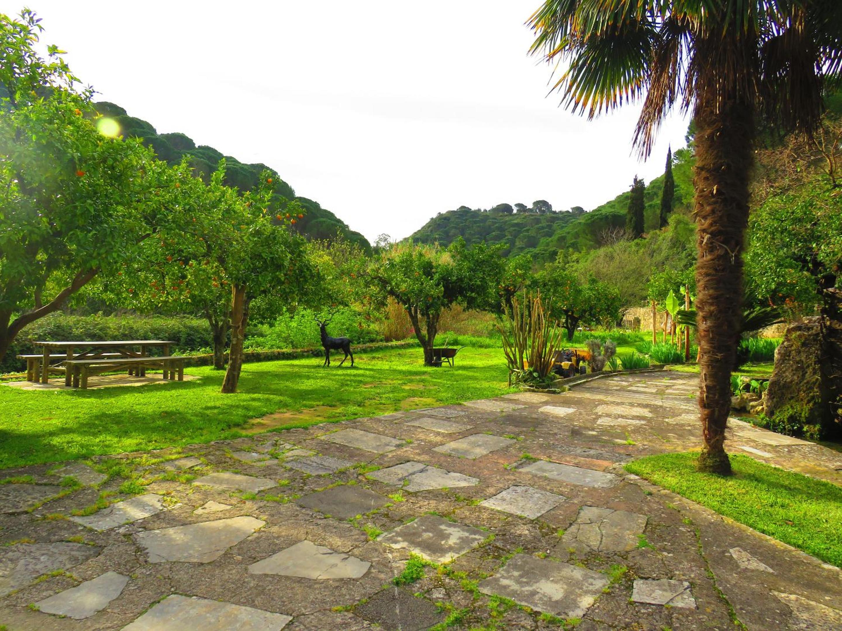 Cosy house near Porto de Mos with shared swimming pool view 2