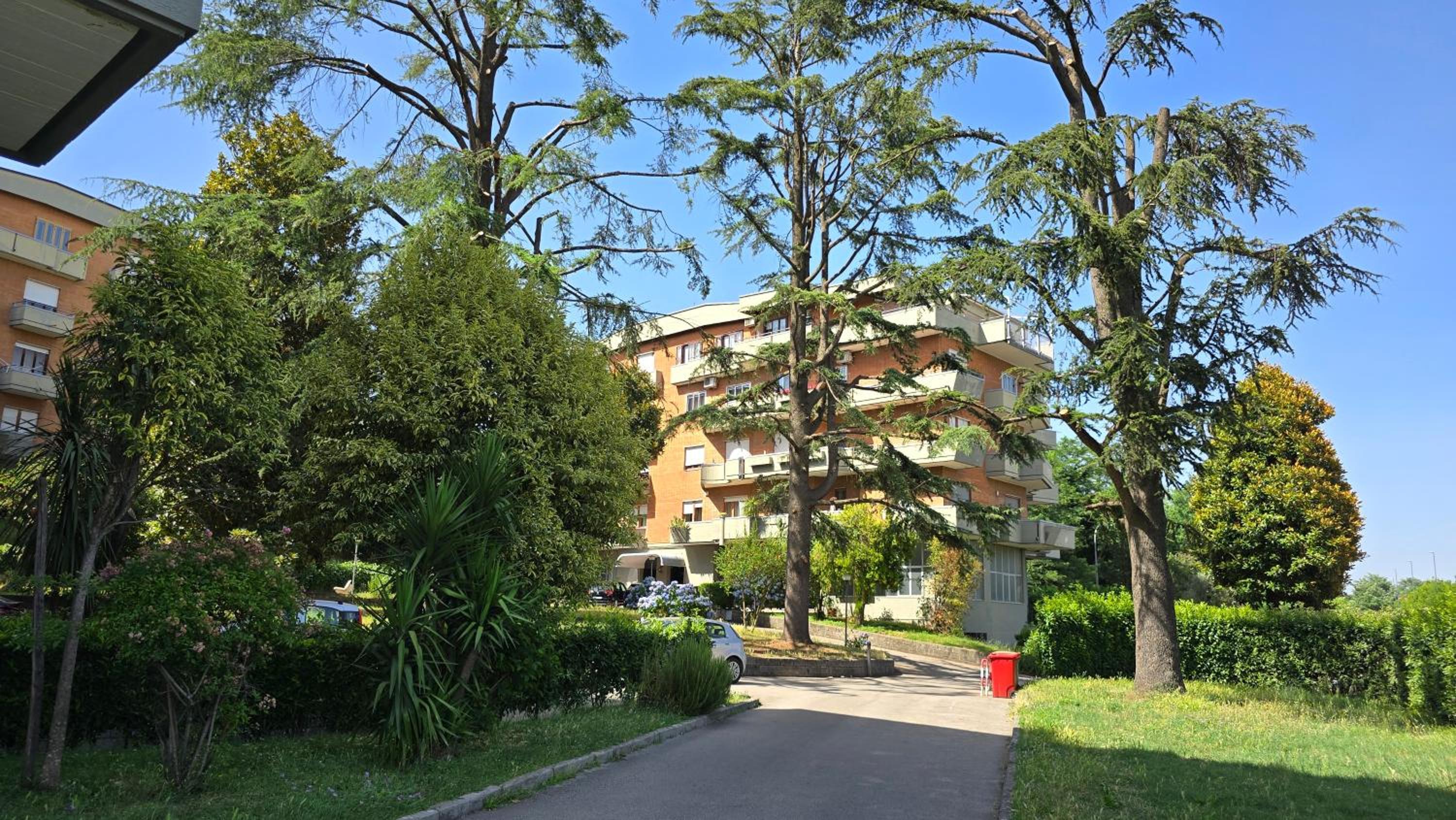 Rose Apartment