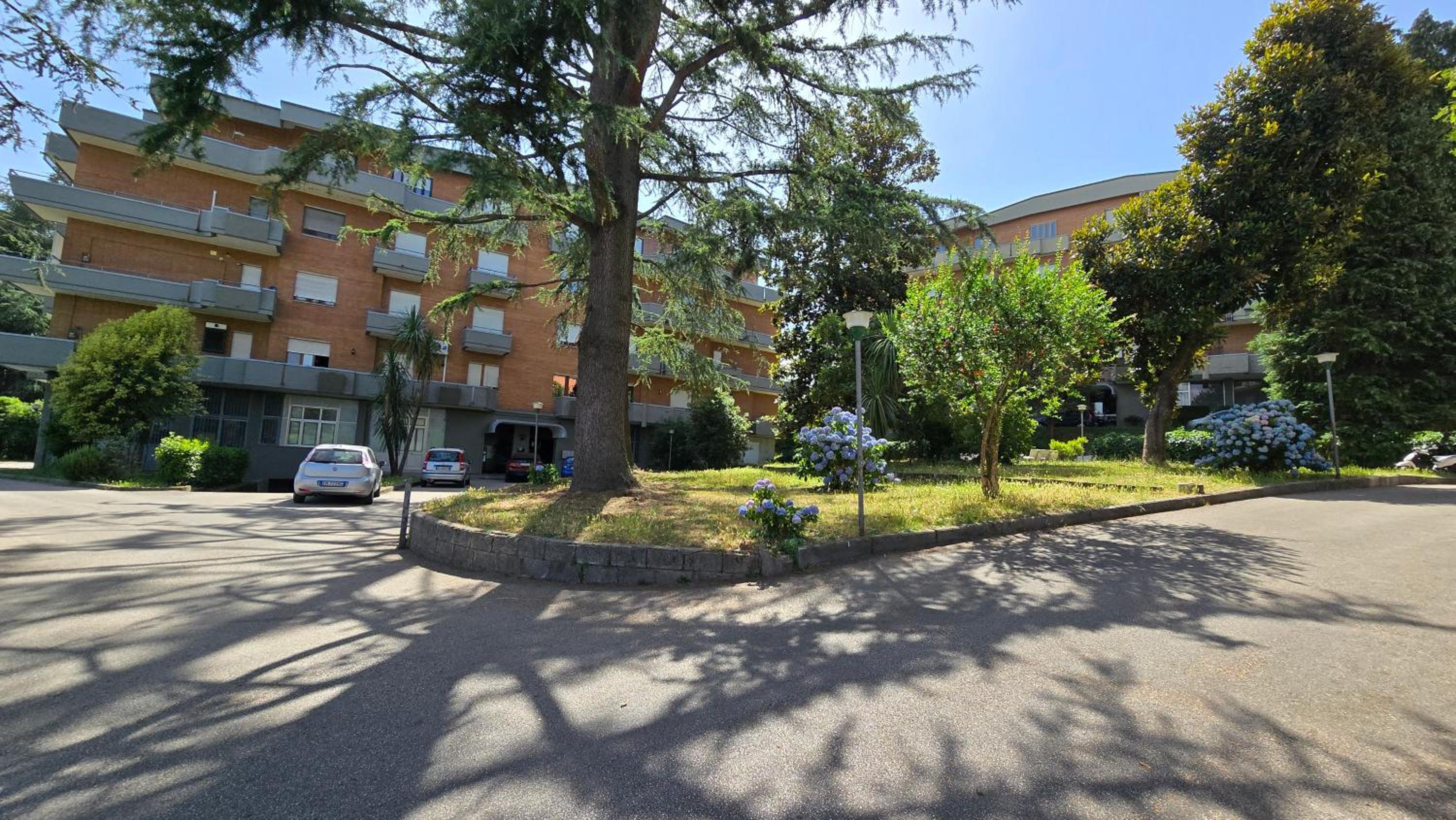 Rose Apartment