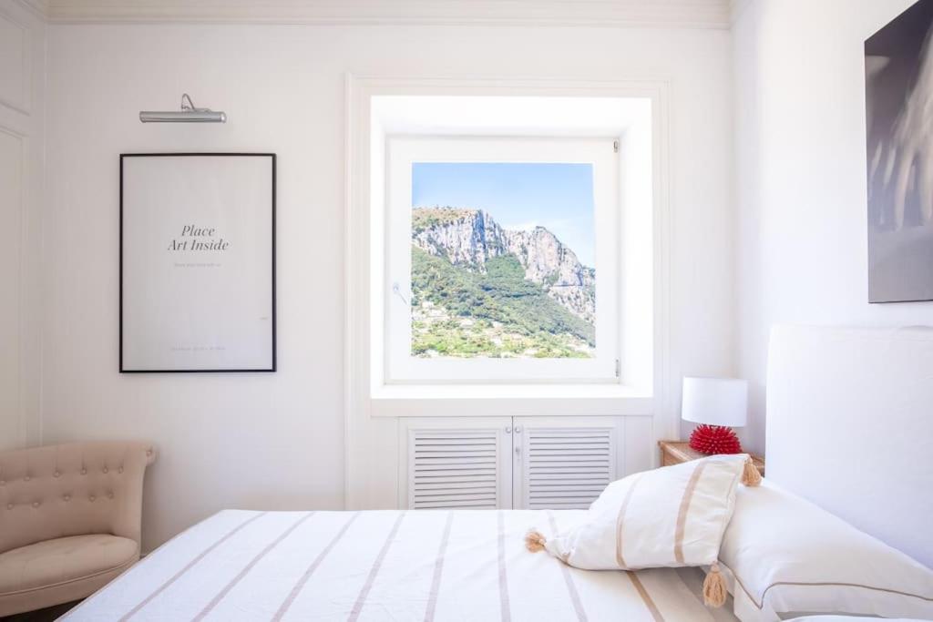 Suite InfiniteView