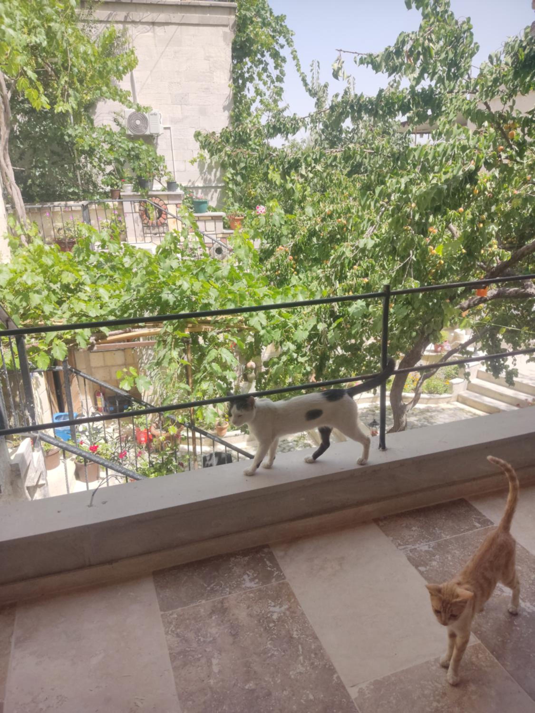 Luwian Stone House - Image 47