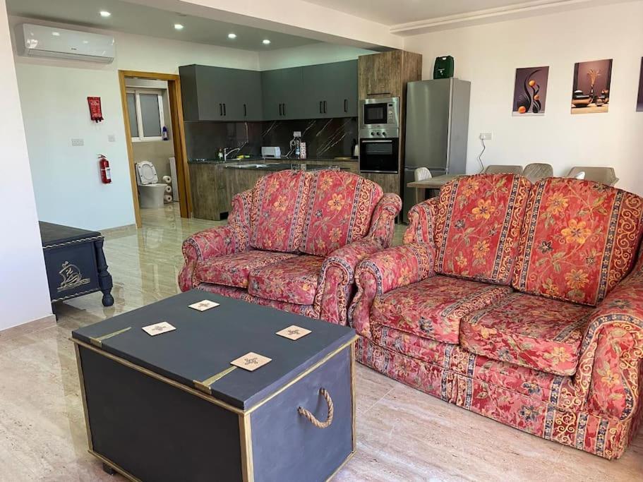 Cosy New Apartment photo 1