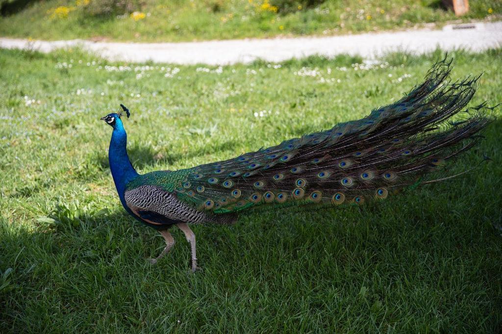 Agriturismo Le Pozze