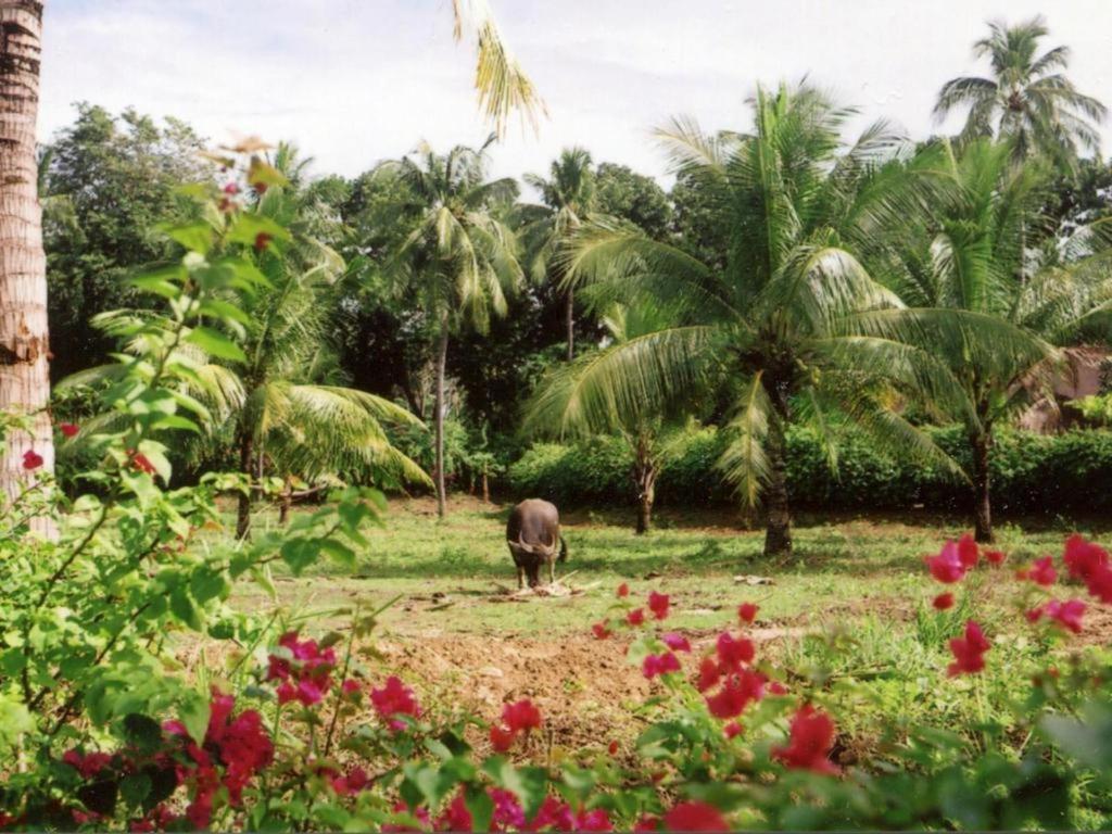 Pulchra Resort