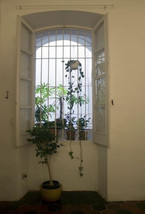 Casa Galleria al Teatro view 4