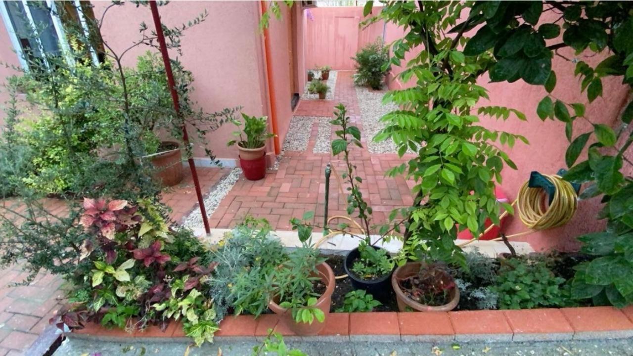 Terracotta House 1