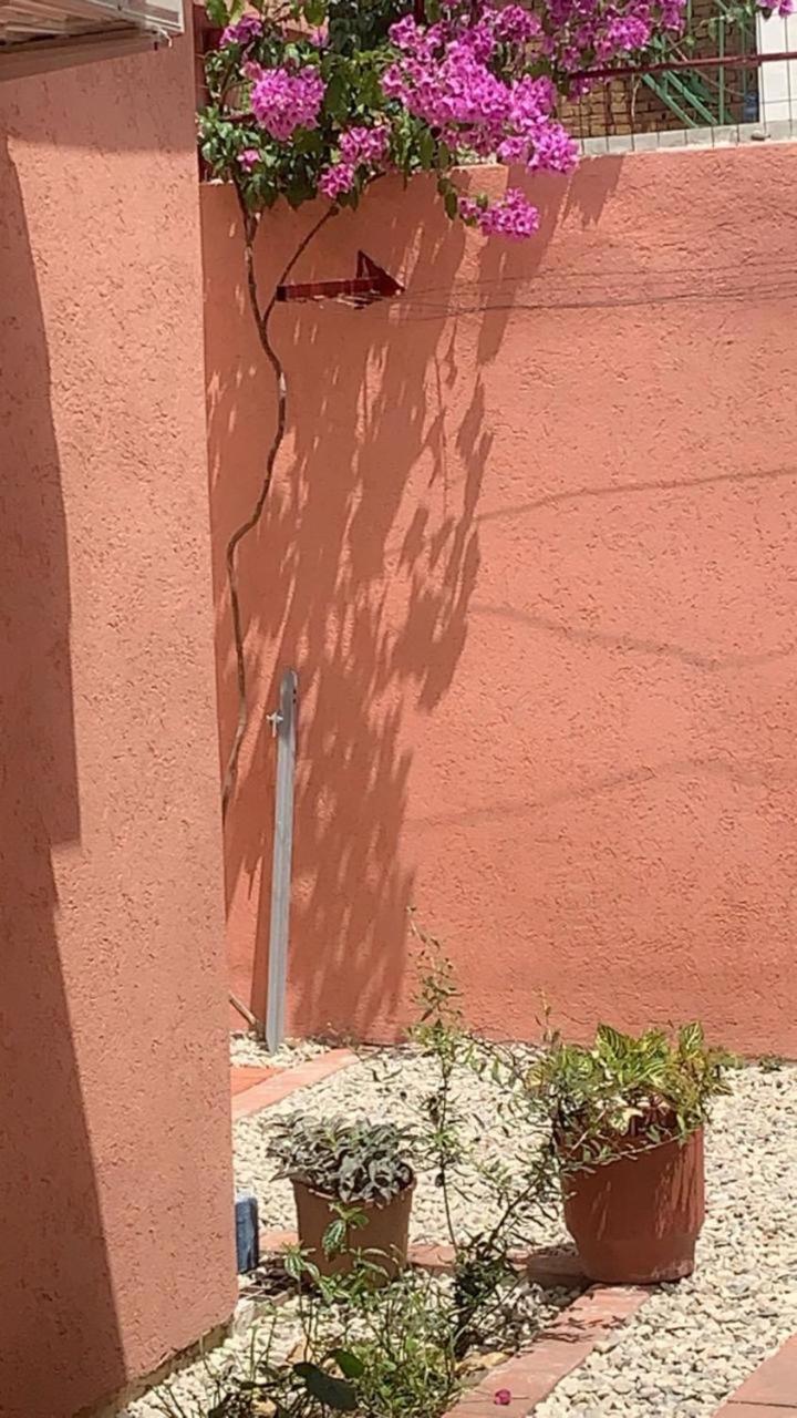 Terracotta House 1