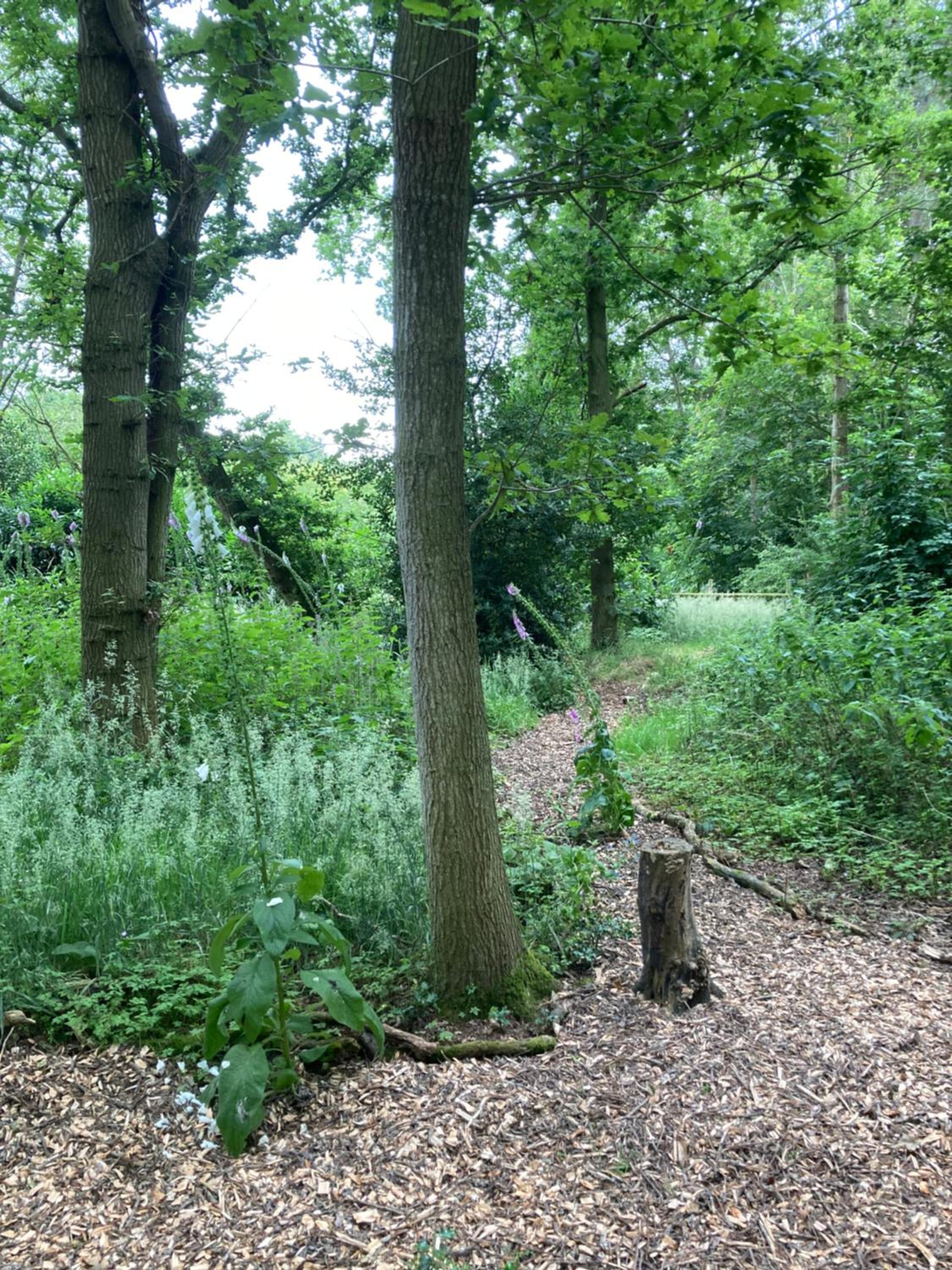 Woodland Retreat, Market Lane, Blundeston, Lowestoft