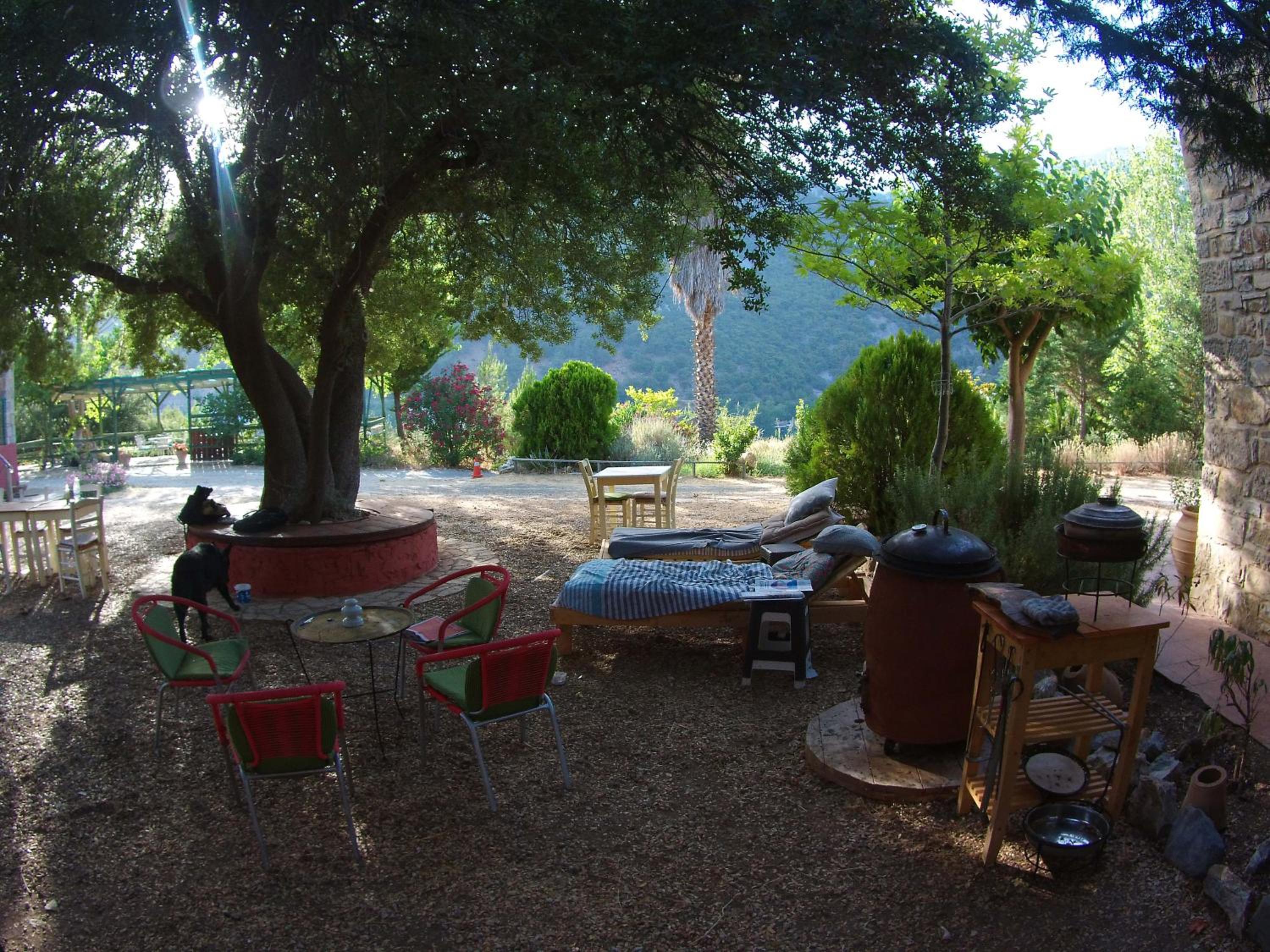 Akros Oreon, Omalos Studio