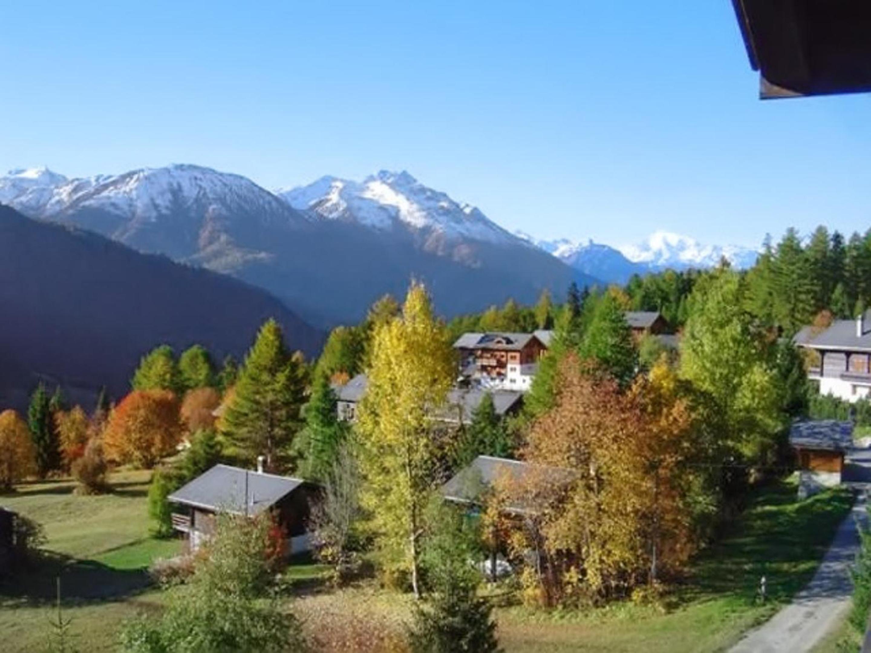 Cosy Apartment in Bellwald - 68 m² - Mountain View