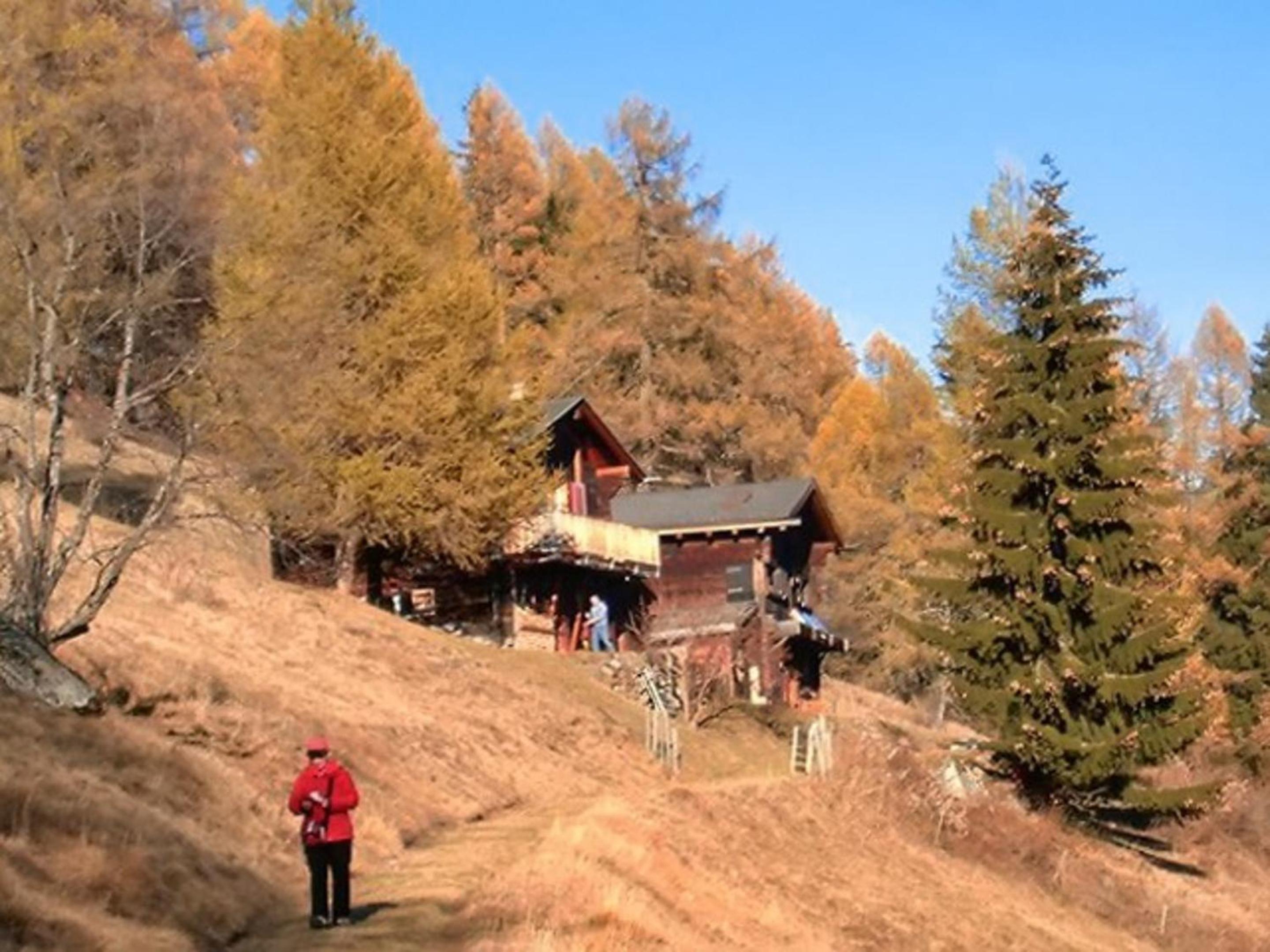 Cosy Apartment in Bellwald - 68 m² - Mountain View