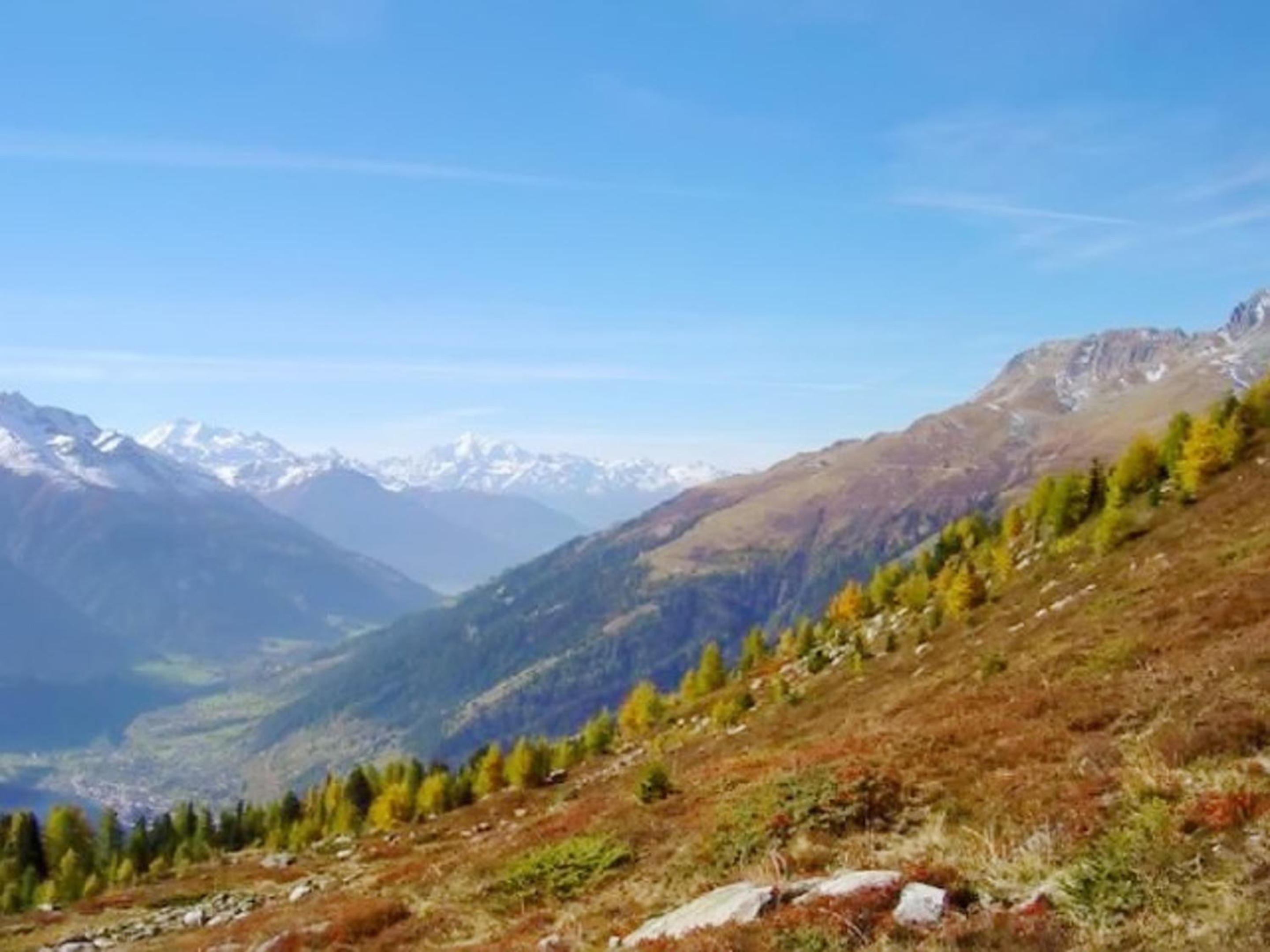 Cosy Apartment in Bellwald - 68 m² - Mountain View