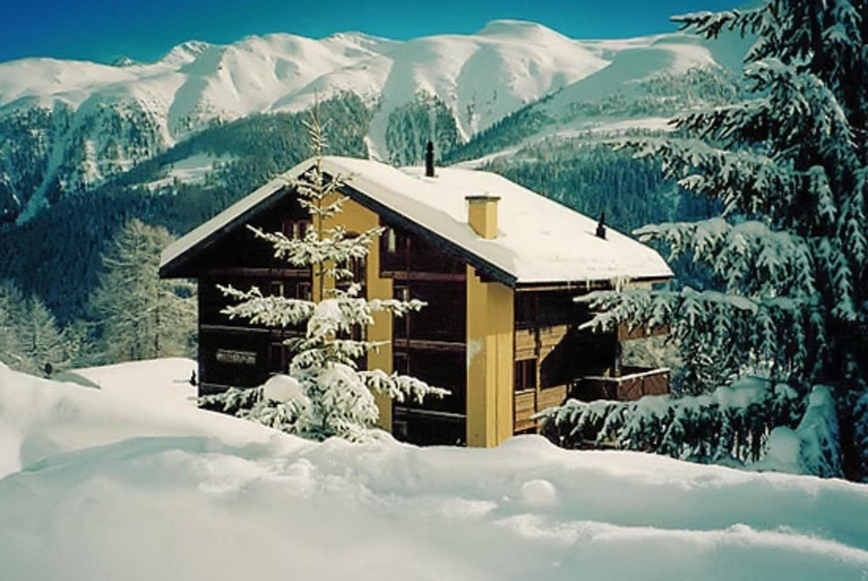 Cosy Apartment in Bellwald - 68 m² - Mountain View