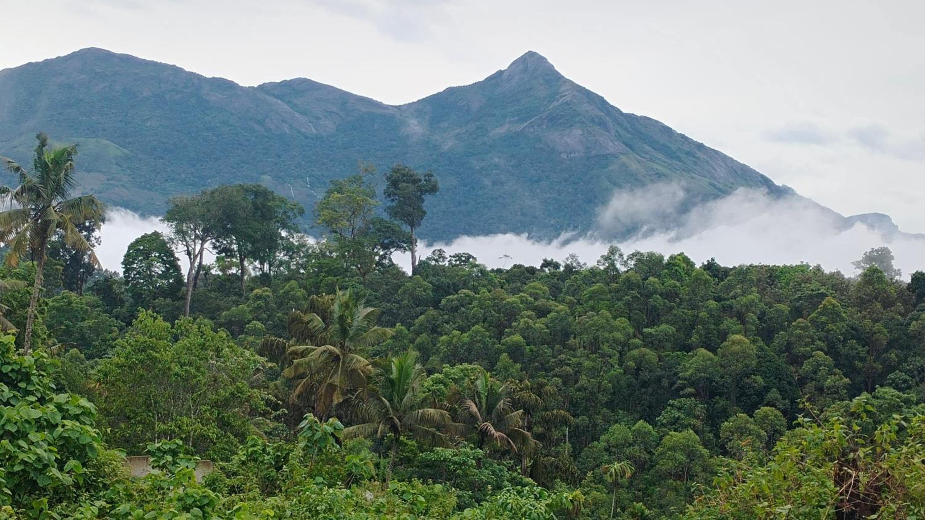 Nature season holidays munnar