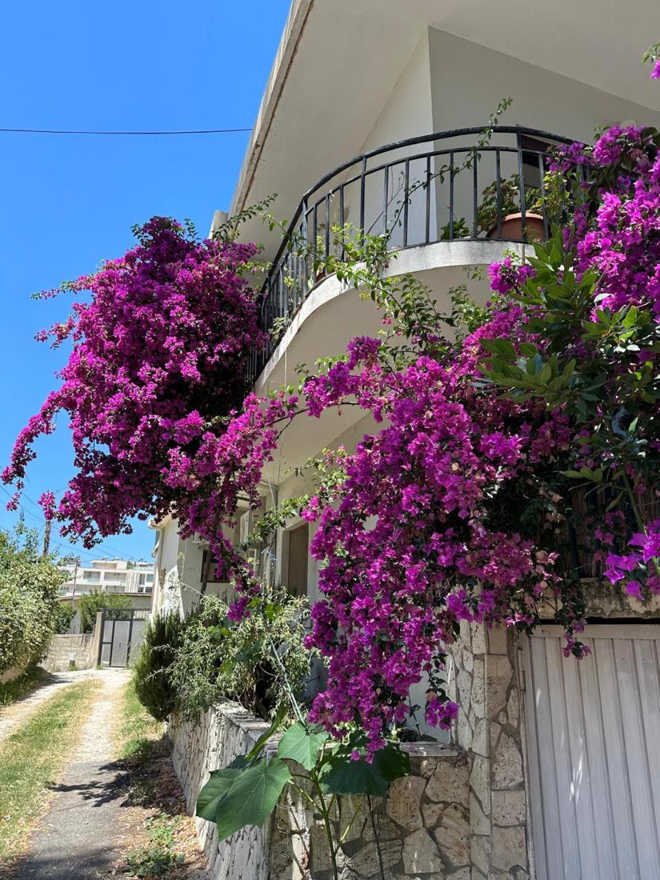 Eja Mare Guest House photo 4