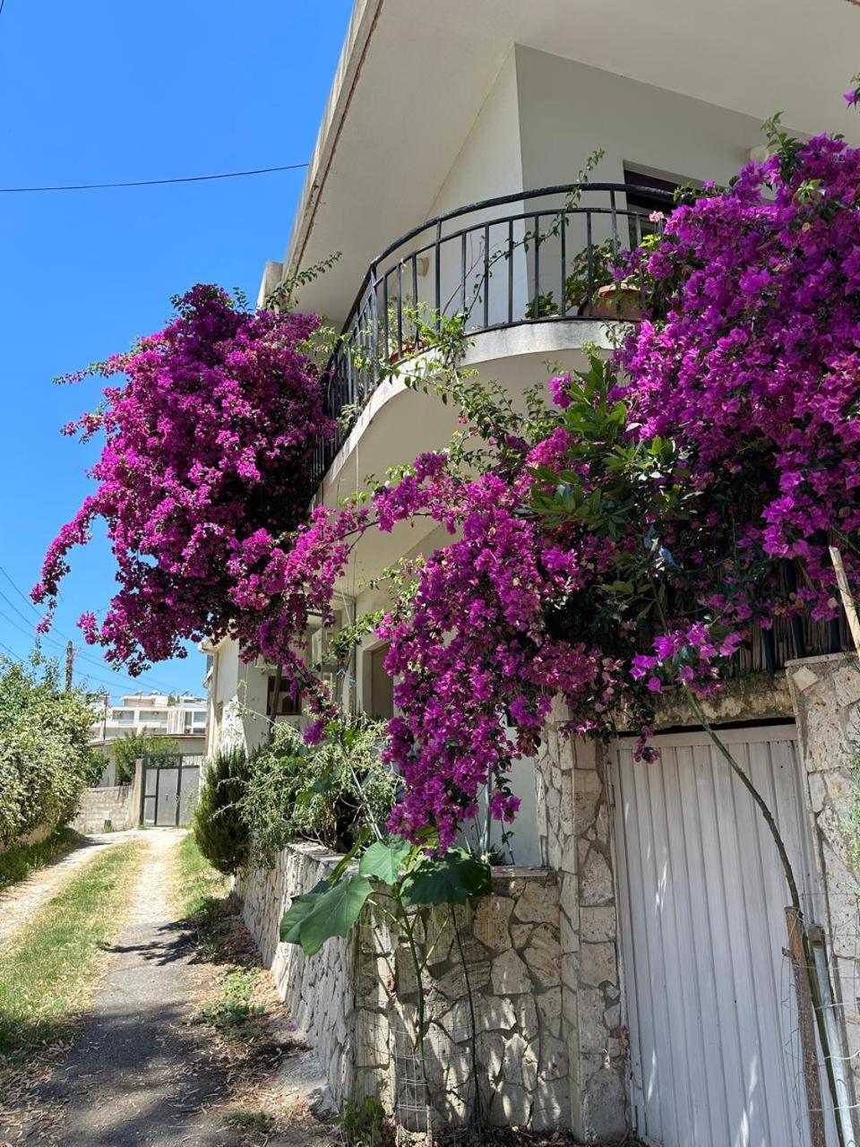 Eja Mare Guest House