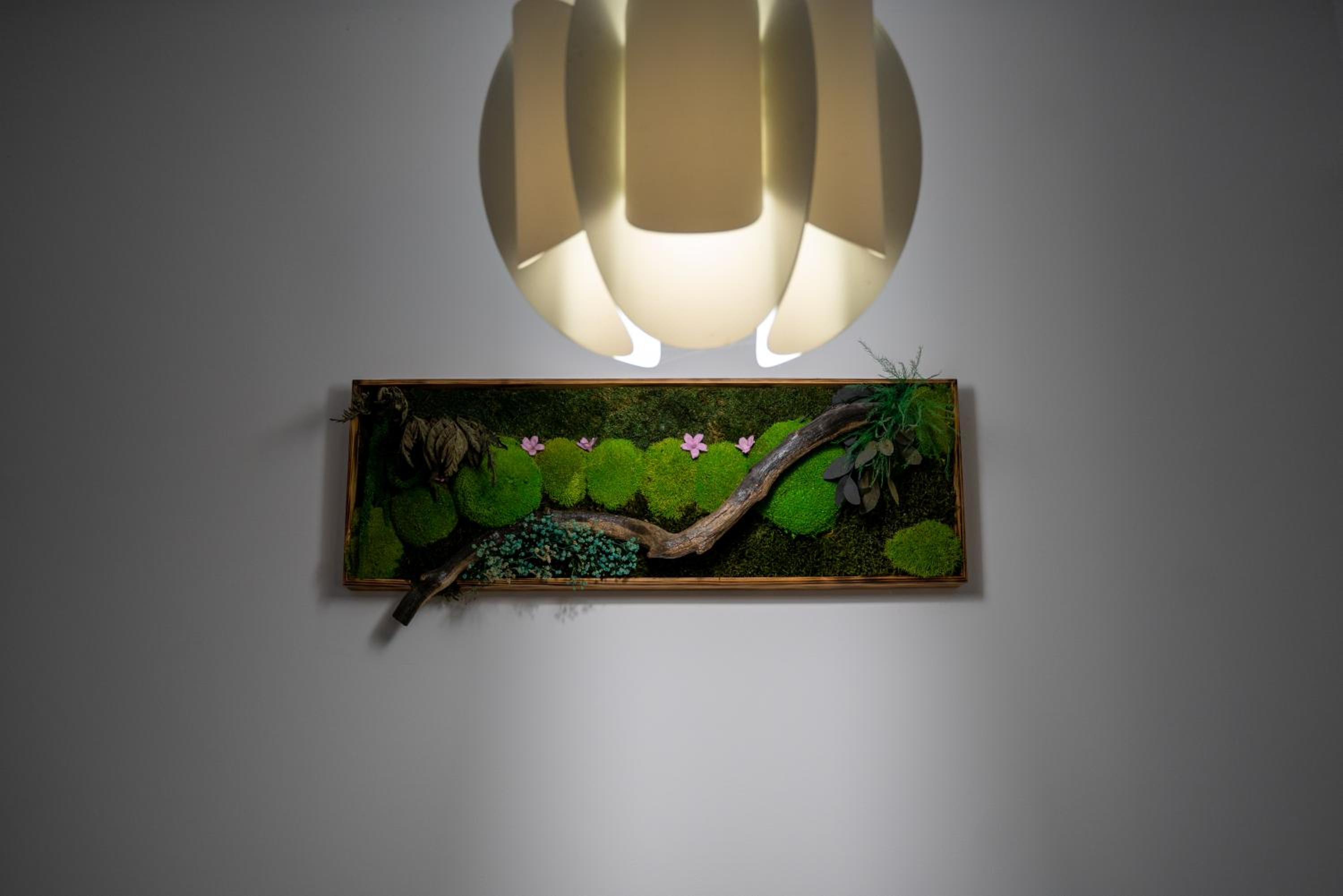 Din Natura
