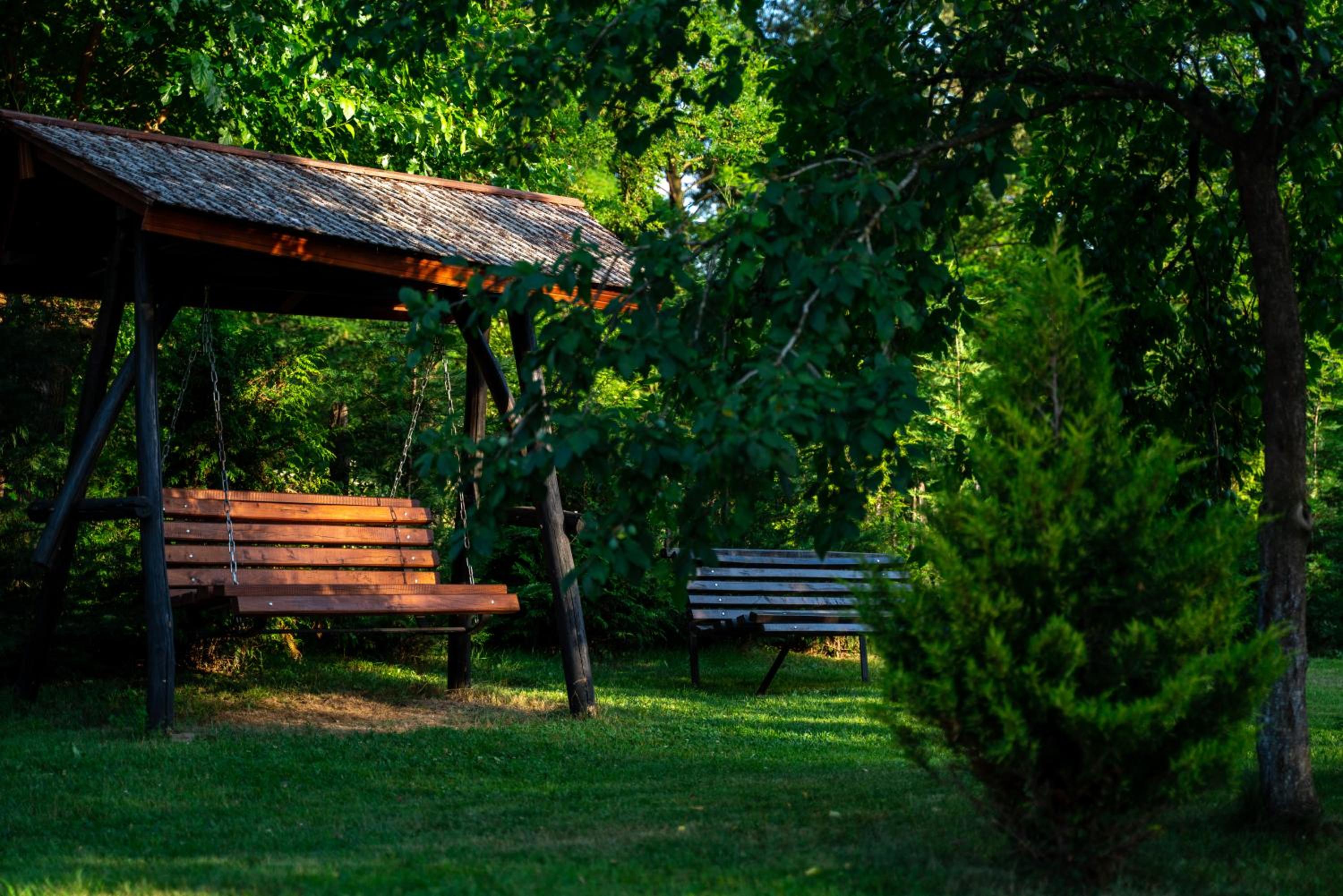 Din Natura