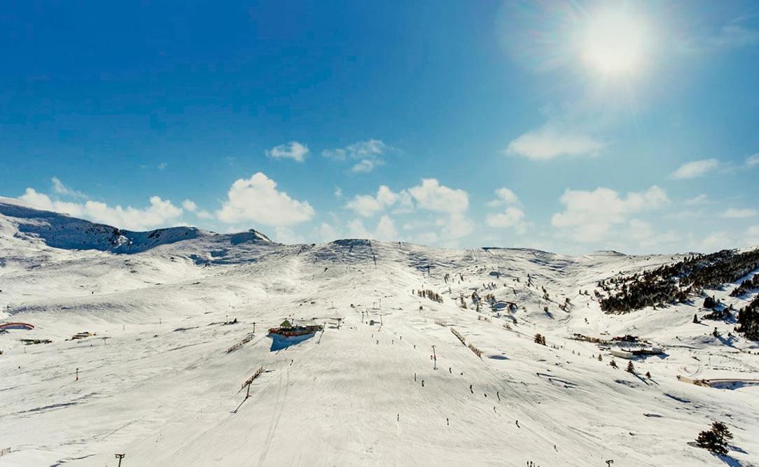 Kaya Uludag - Image 9