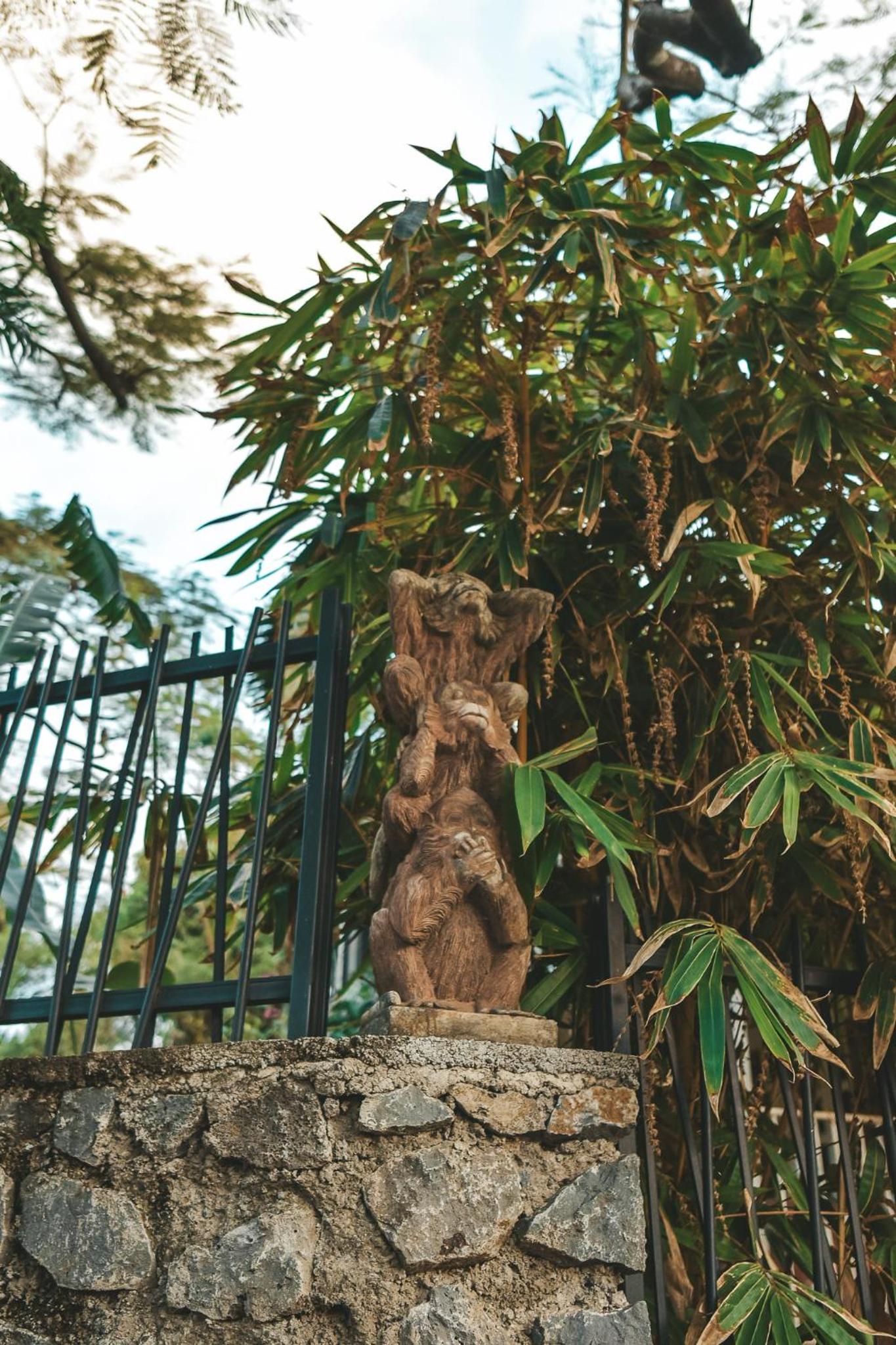 Photo 21