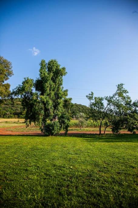 Villa La Corsa immersa nella natura di Capalbio view 5