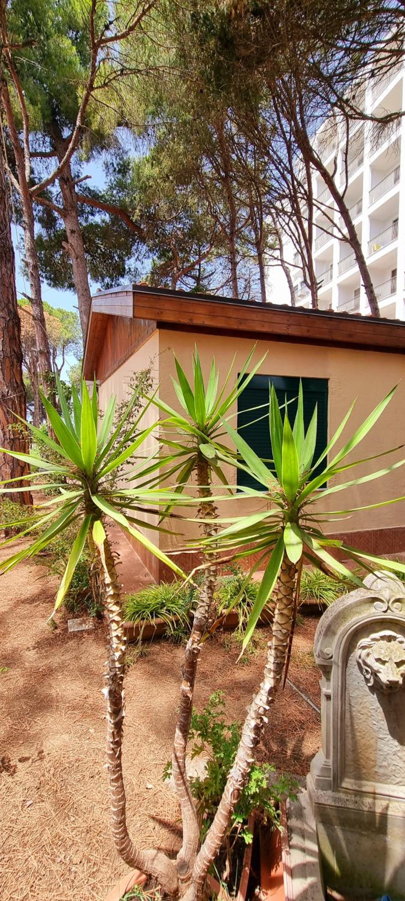 Bezhani Villa