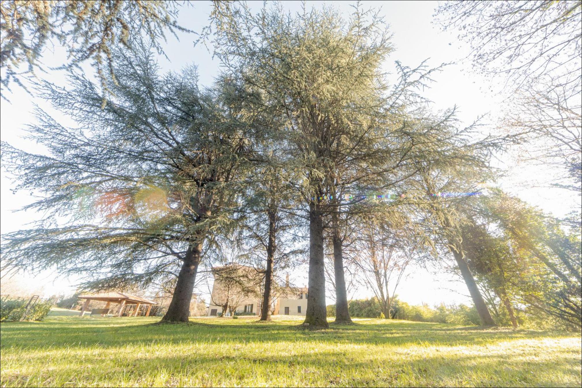 Cascina Ravona