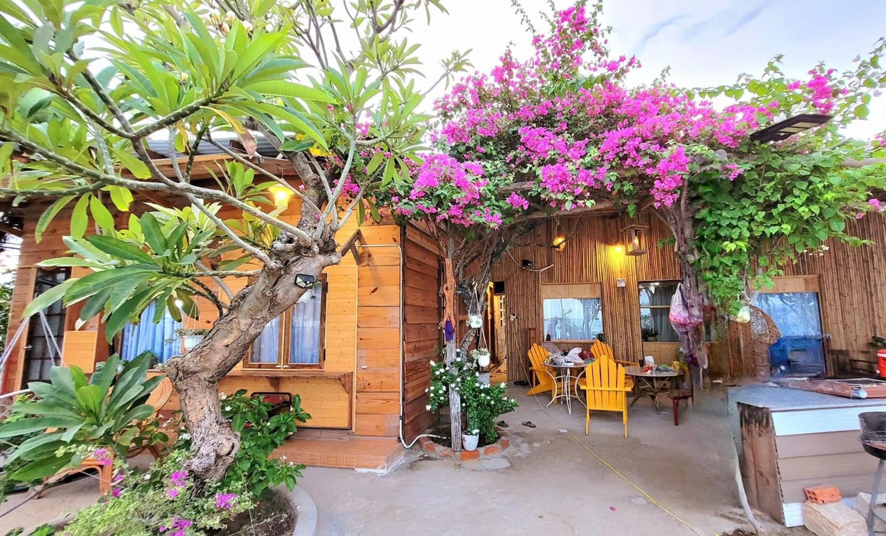 Nhà xinh sơn hải ninh thuận homestay view 2