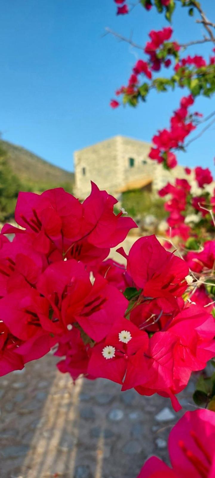 Refoulo Tower