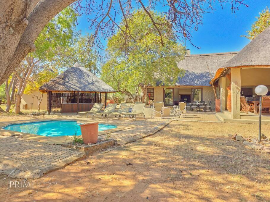 Bush Baby at Zebula view 5