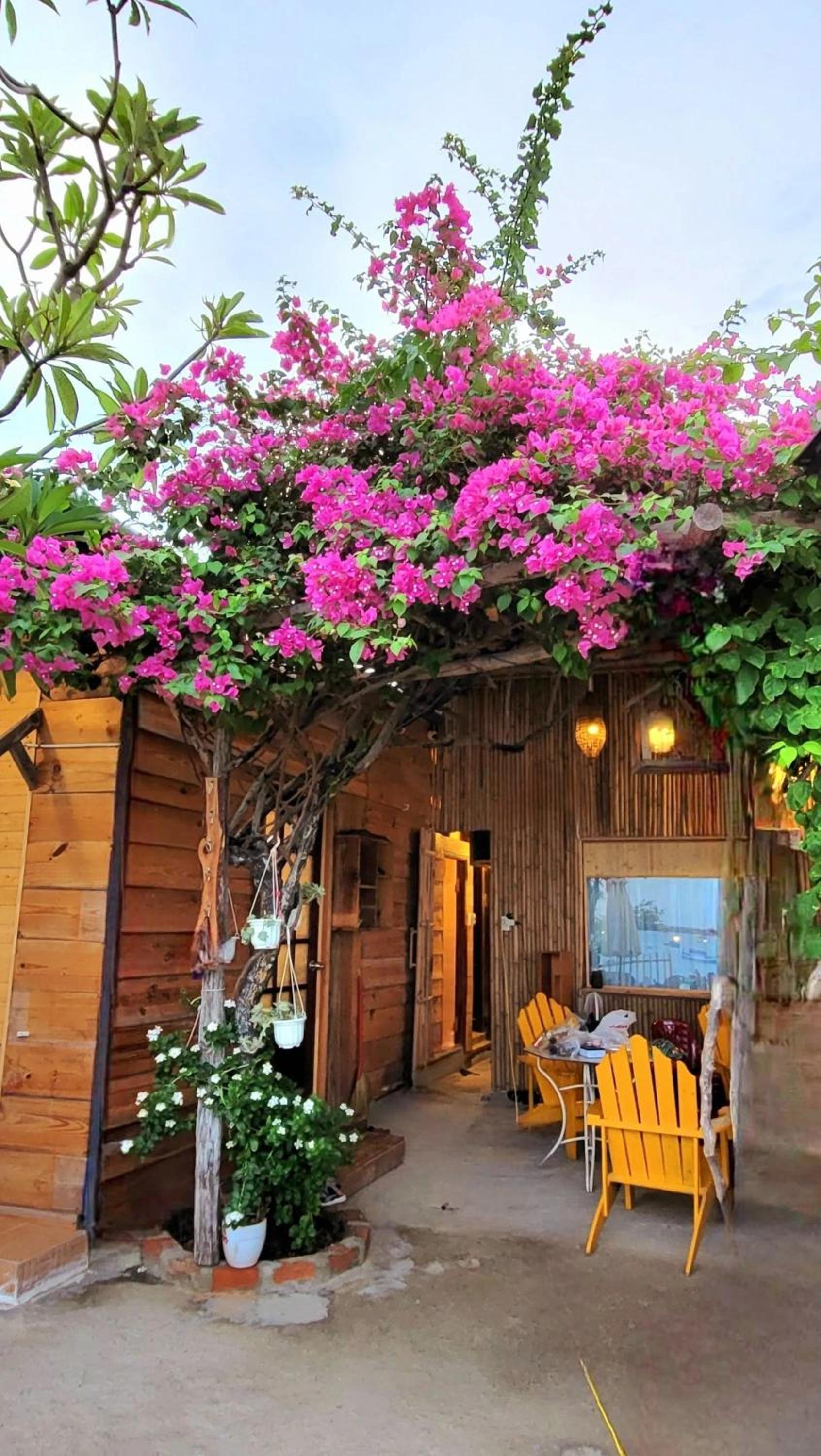 Nhà xinh sơn hải ninh thuận homestay view 3