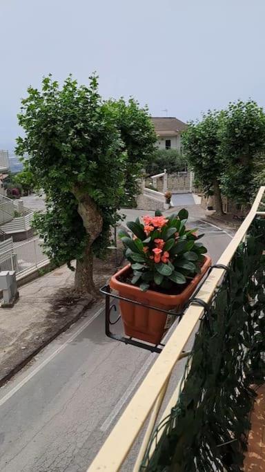 Antony's Hause photo 4