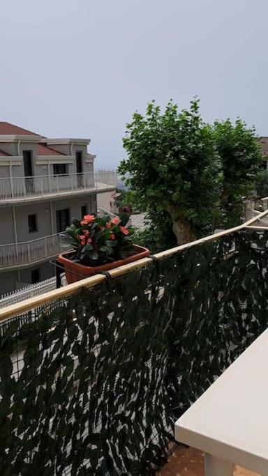 Antony's Hause photo 3