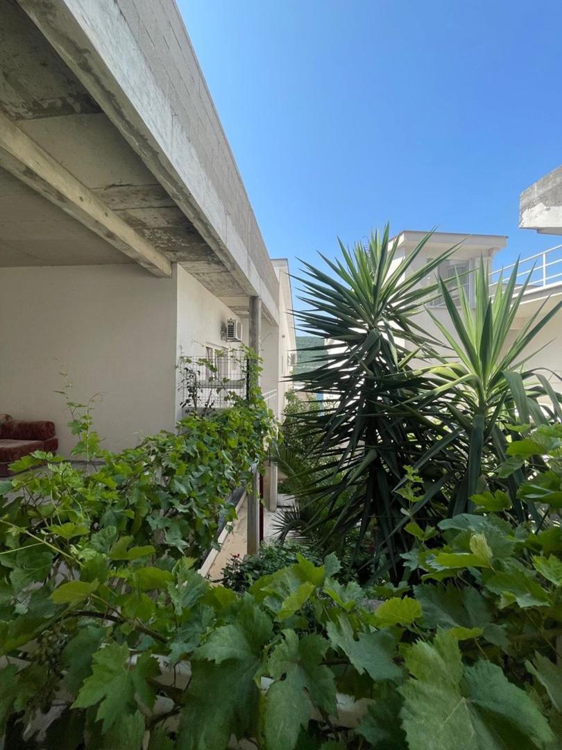 Apartments Mango
