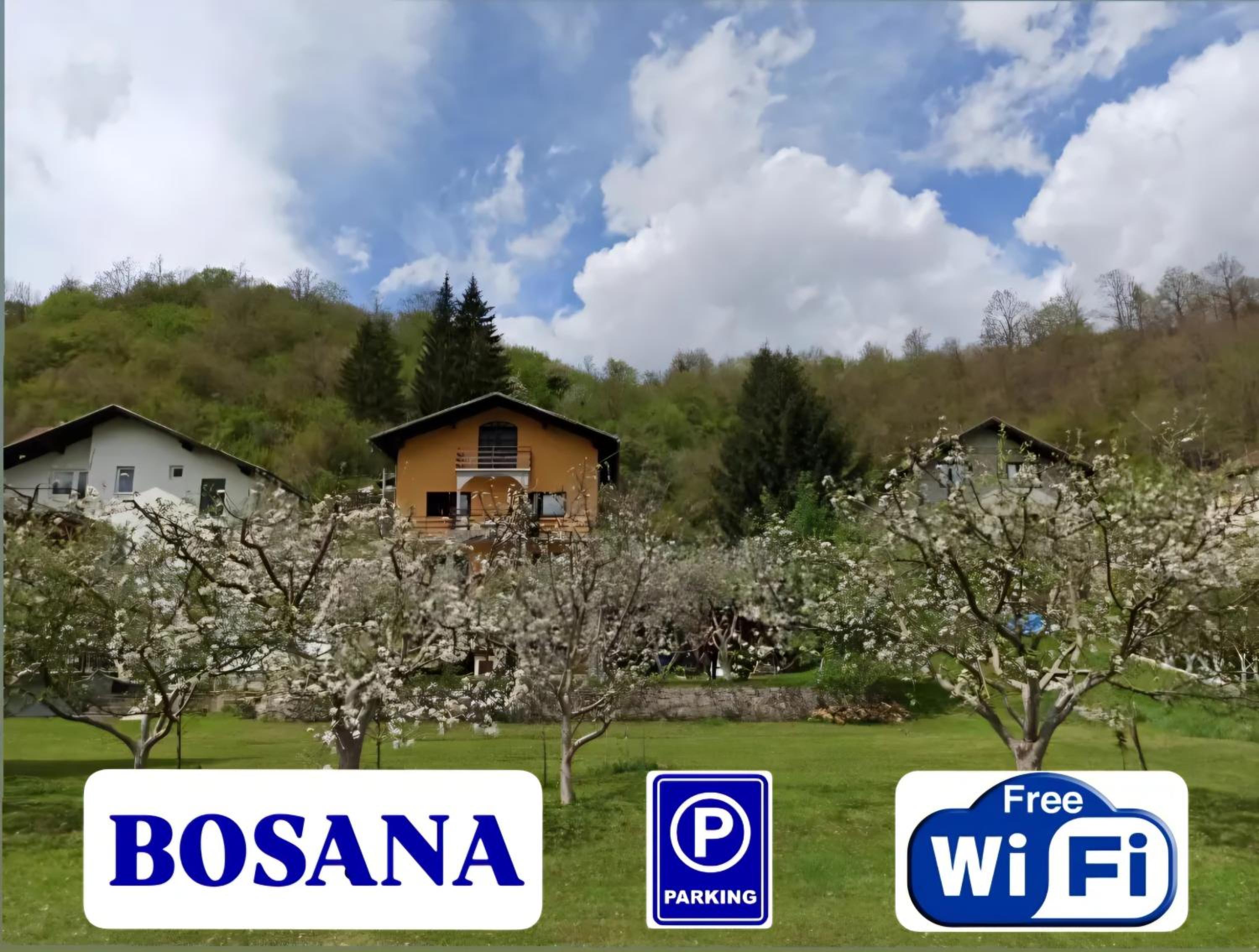 Bosana