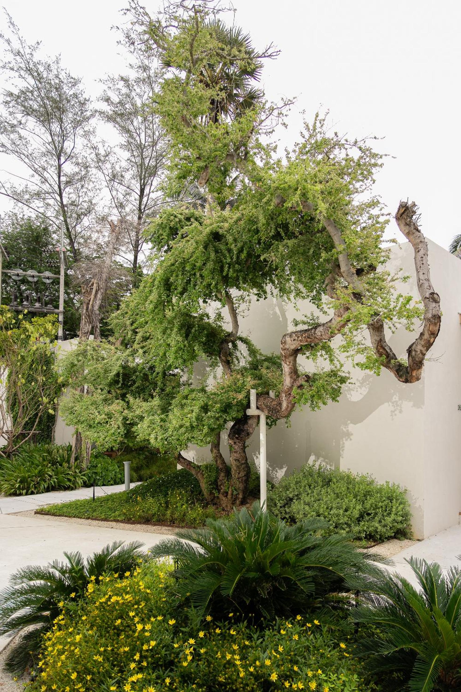 Eden Resort & Villas Phuket Patong