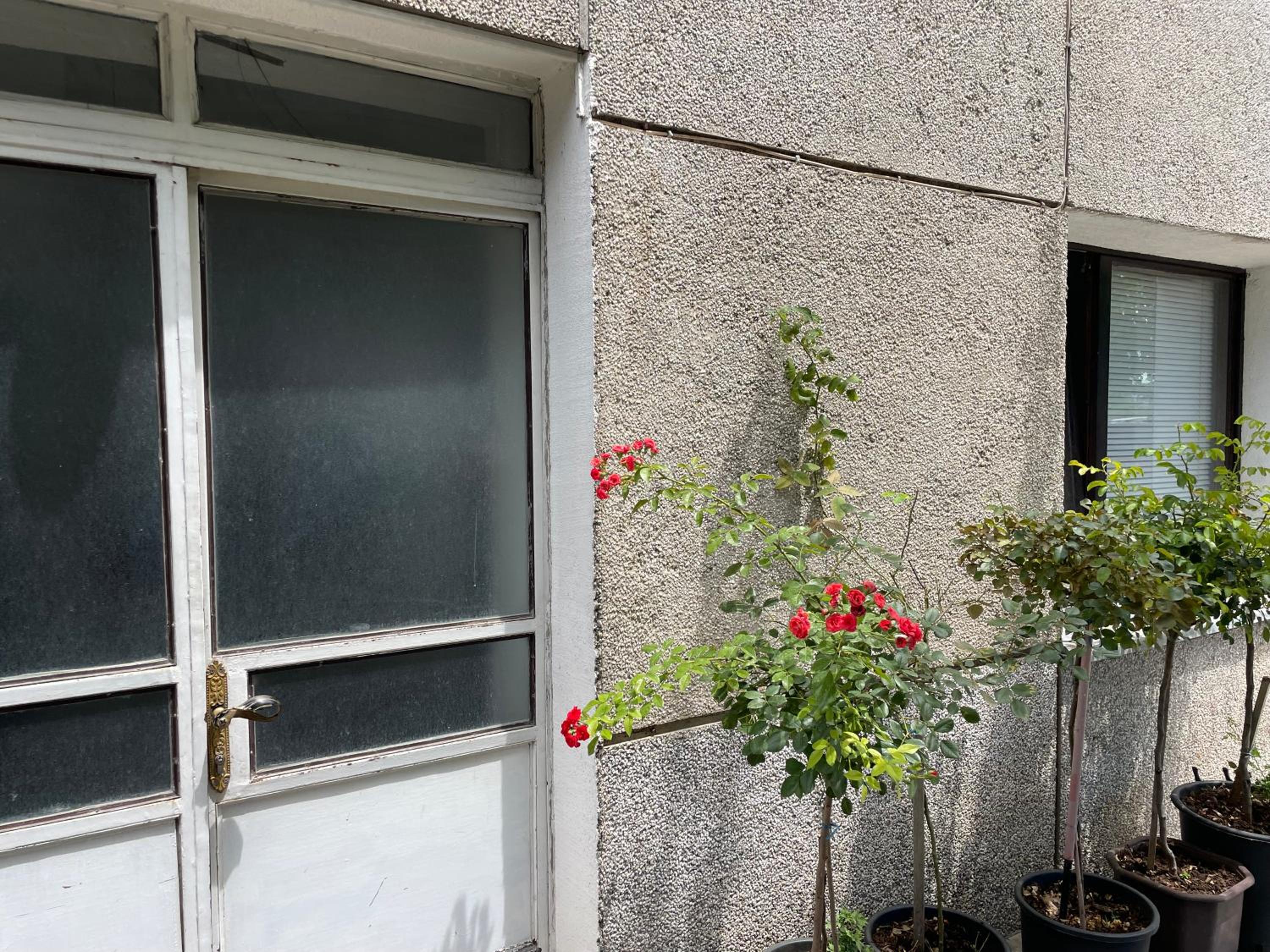 Apartment Dalia