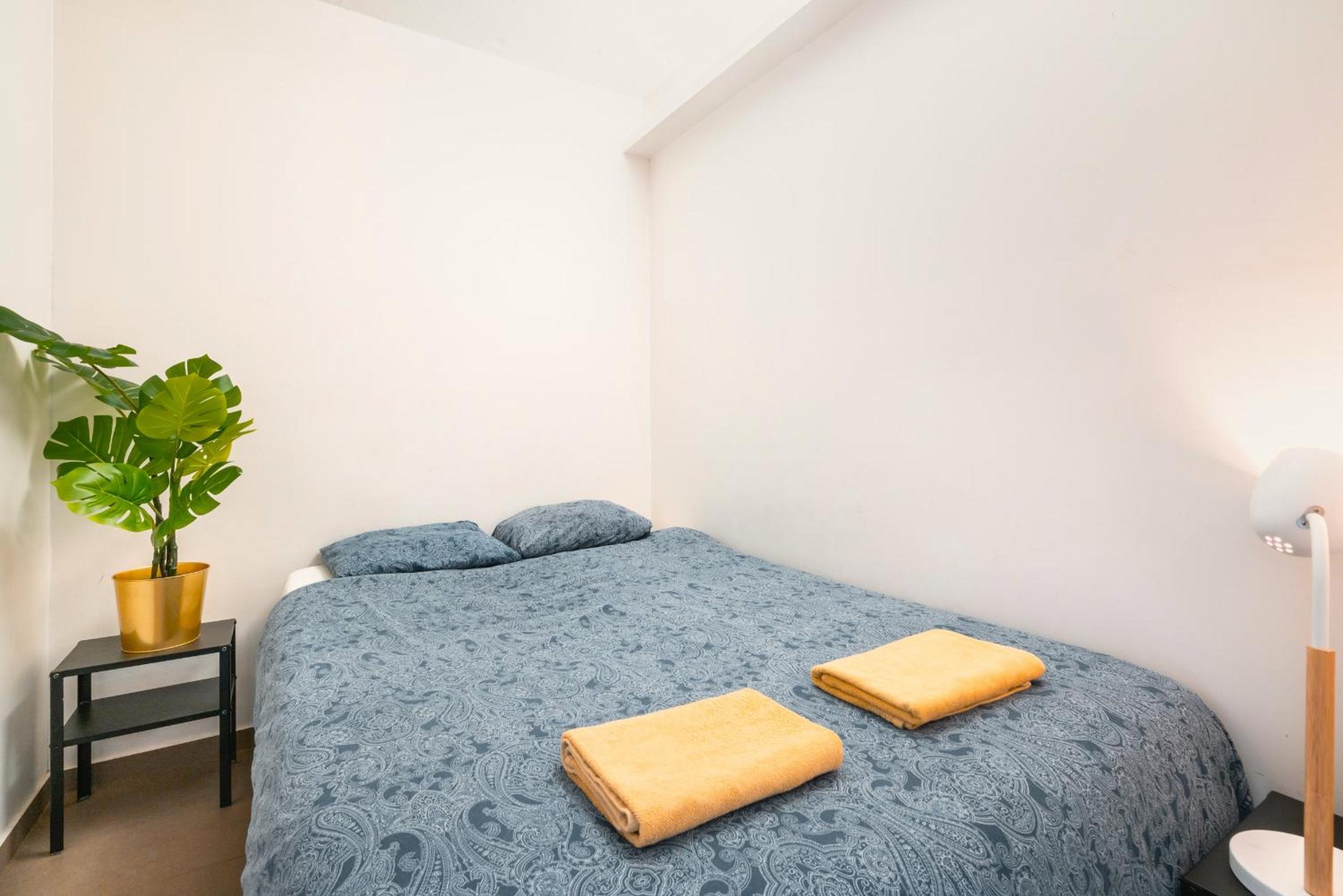 City View Apartments in the Heart of Antwerp