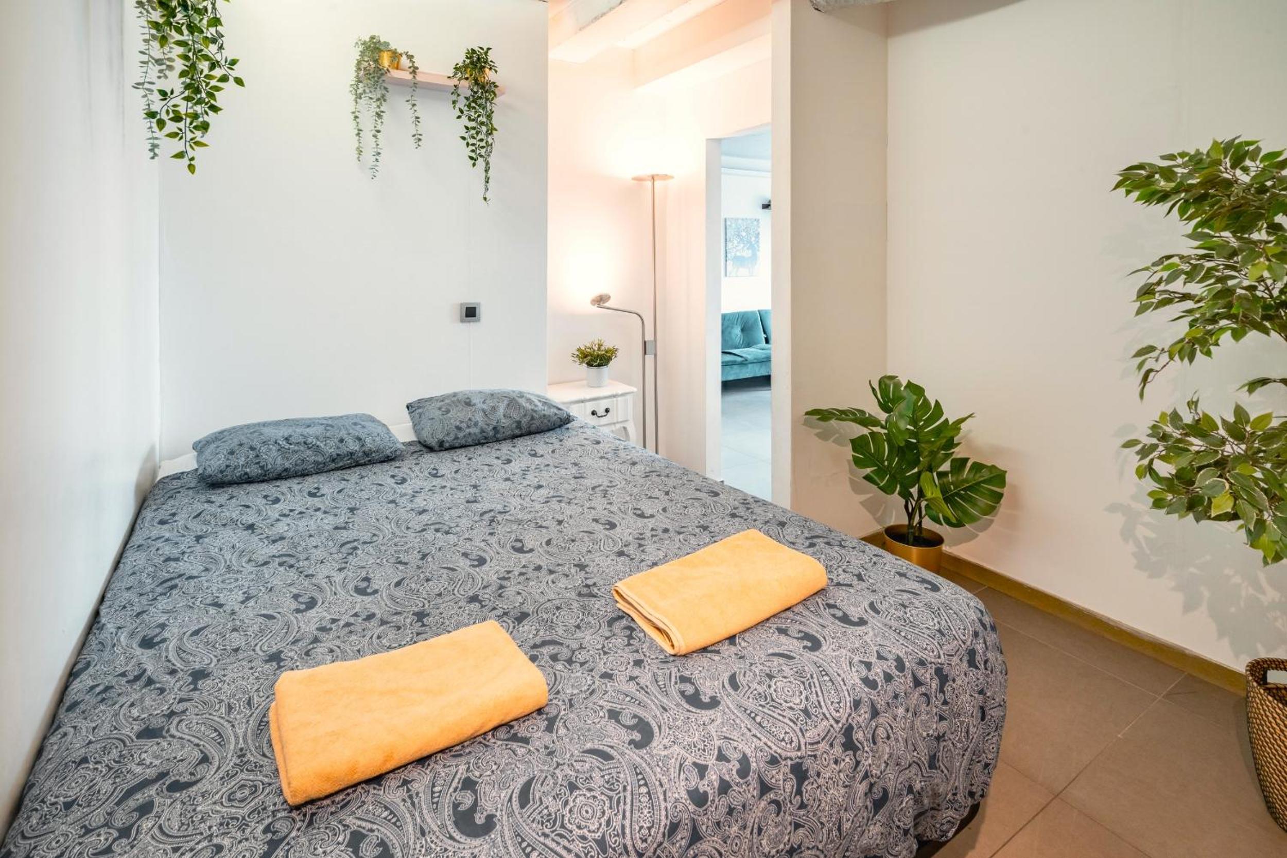City View Apartments in the Heart of Antwerp