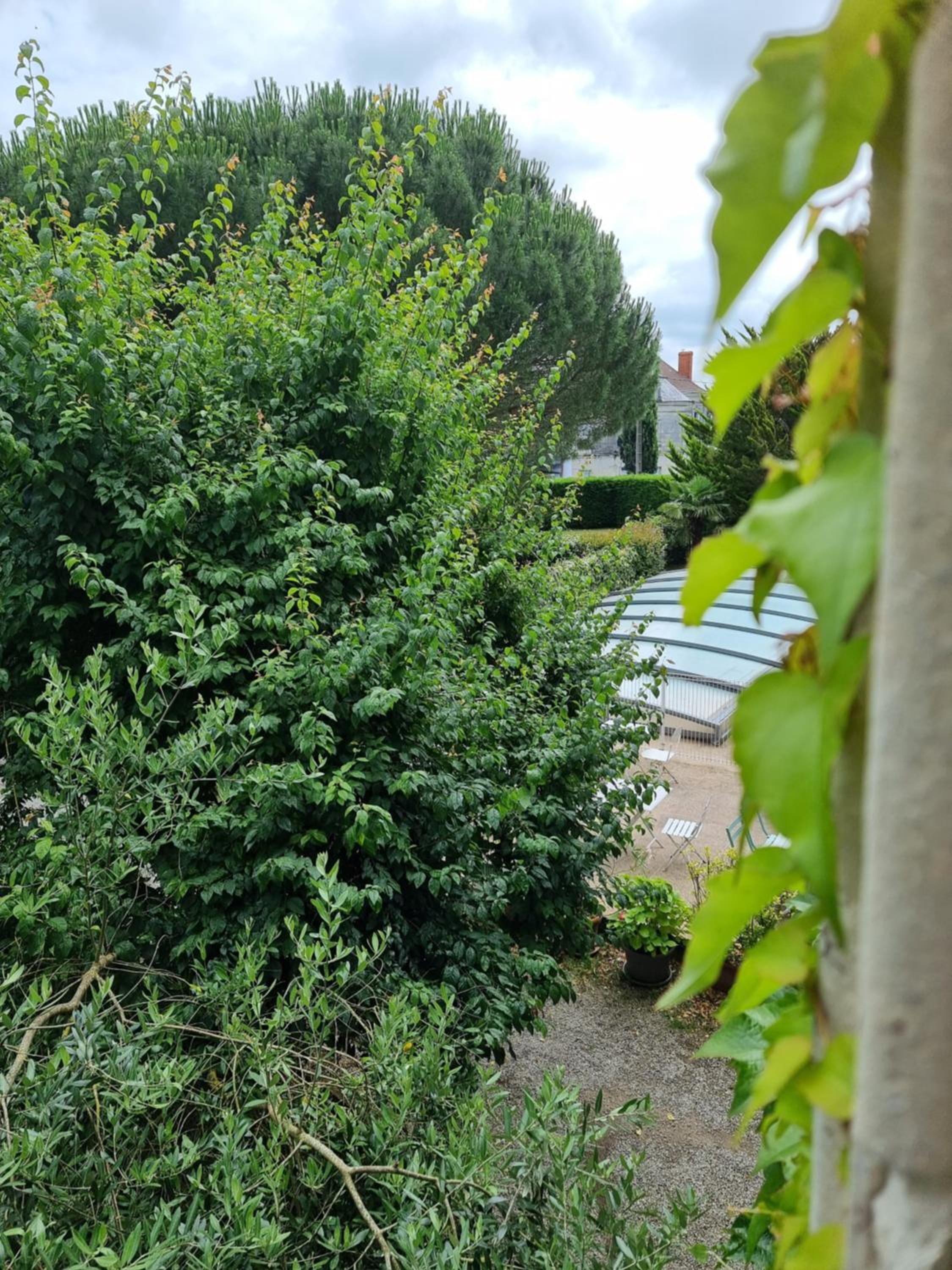 Photo 41