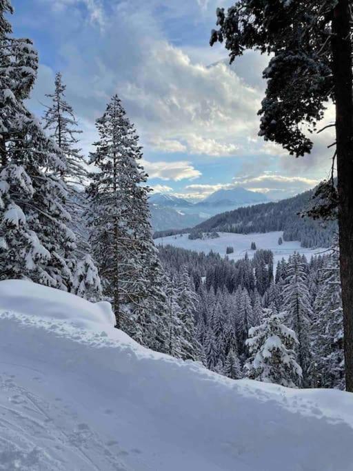 Flims Mountain retreat with Nordic Hotpot near Caumasee