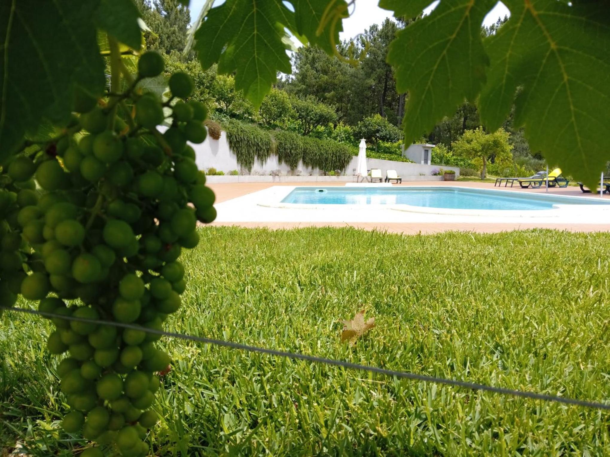 Quinta Manhas Douro