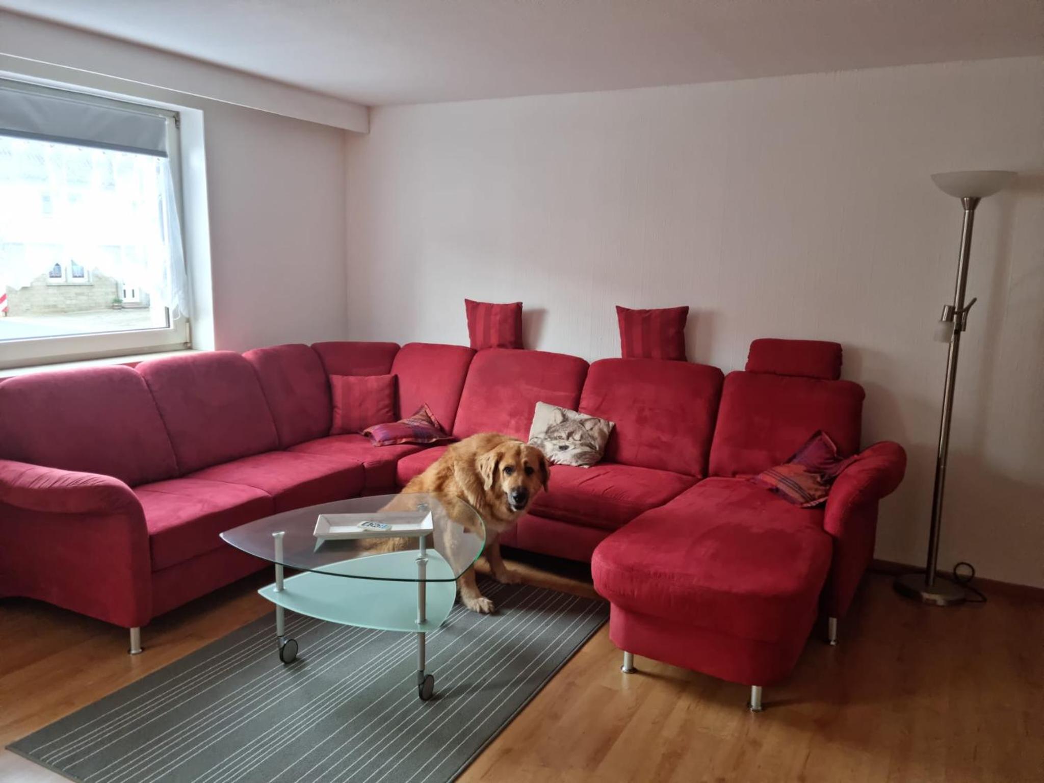 Main zu Hause