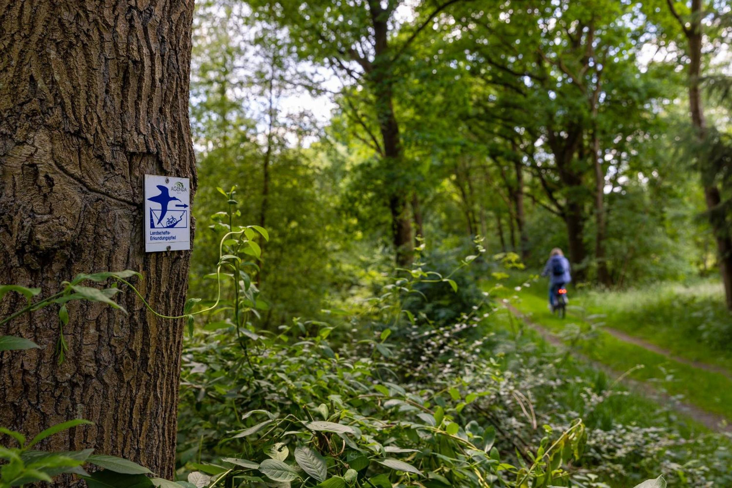 Ferienhaus Liegeplatz Dangast